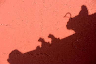 坤哥爆料：《失落之魂》实体版至少将在欧洲地区推出